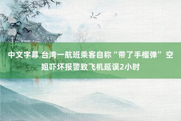 中文字幕 台湾一航班乘客自称“带了手榴弹” 空姐吓坏报警致飞机延误2小时