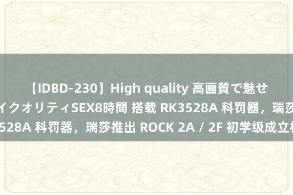 【IDBD-230】High quality 高画質で魅せます！究極のIP女優ハイクオリティSEX8時間 搭载 RK3528A 科罚器，瑞莎推出 ROCK 2A / 2F 初学级成立板