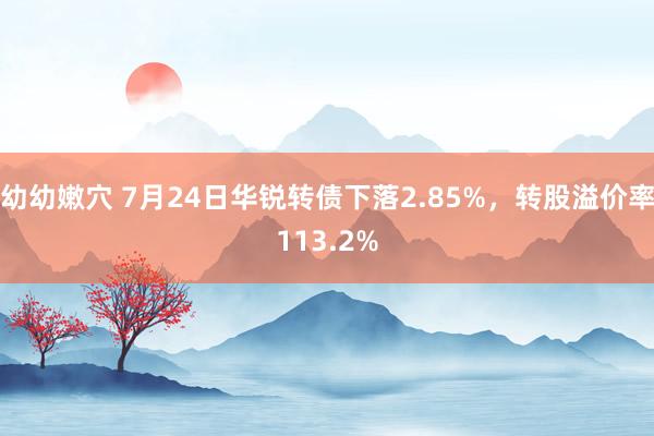 幼幼嫩穴 7月24日华锐转债下落2.85%，转股溢价率113.2%