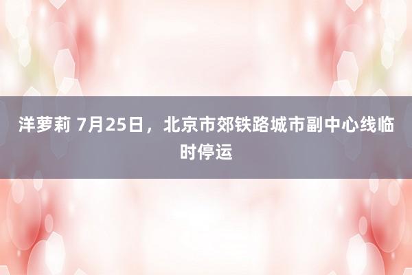 洋萝莉 7月25日，北京市郊铁路城市副中心线临时停运