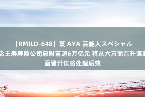 【RMILD-648】裏 AYA 芸能人スペシャル 中国东说念主寿寿险公司总财富超6万亿元 将从六方面晋升谋略处理质效