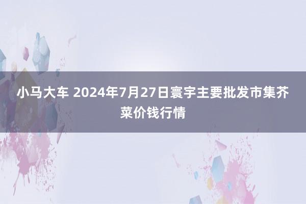 小马大车 2024年7月27日寰宇主要批发市集芥菜价钱行情