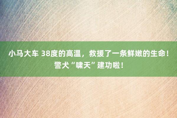 小马大车 38度的高温，救援了一条鲜嫩的生命！警犬“啸天”建功啦！