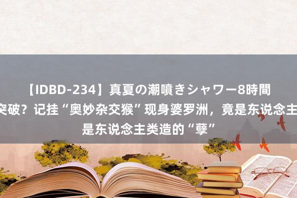 【IDBD-234】真夏の潮噴きシャワー8時間 生殖窒碍被突破？记挂“奥妙杂交猴”现身婆罗洲，竟是东说念主类造的“孽”