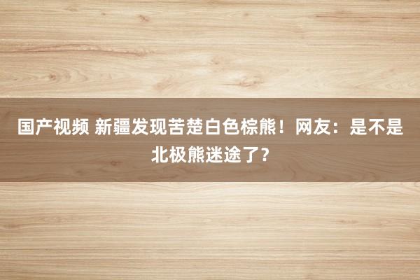 国产视频 新疆发现苦楚白色棕熊！网友：是不是北极熊迷途了？