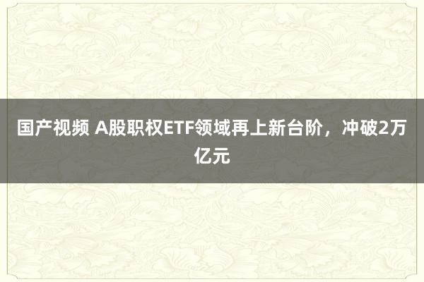 国产视频 A股职权ETF领域再上新台阶，冲破2万亿元