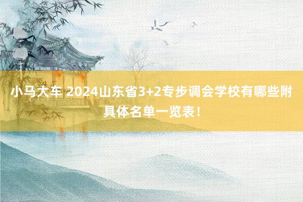 小马大车 2024山东省3+2专步调会学校有哪些附具体名单一览表！