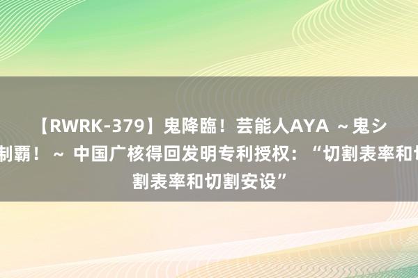 【RWRK-379】鬼降臨！芸能人AYA ～鬼シリーズ全制覇！～ 中国广核得回发明专利授权：“切割表率和切割安设”