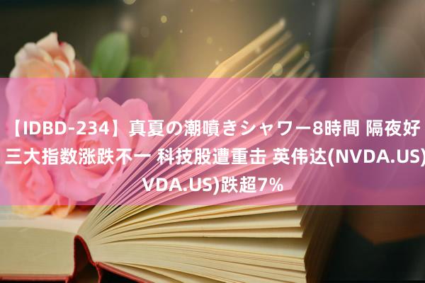 【IDBD-234】真夏の潮噴きシャワー8時間 隔夜好意思股 | 三大指数涨跌不一 科技股遭重击 英伟达(NVDA.US)跌超7%