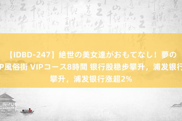 【IDBD-247】絶世の美女達がおもてなし！夢の桃源郷 IP風俗街 VIPコース8時間 银行股稳步攀升，浦发银行涨超2%