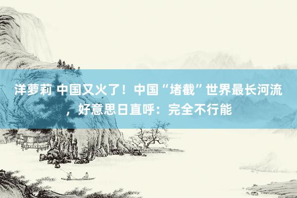 洋萝莉 中国又火了！中国“堵截”世界最长河流，好意思日直呼：完全不行能