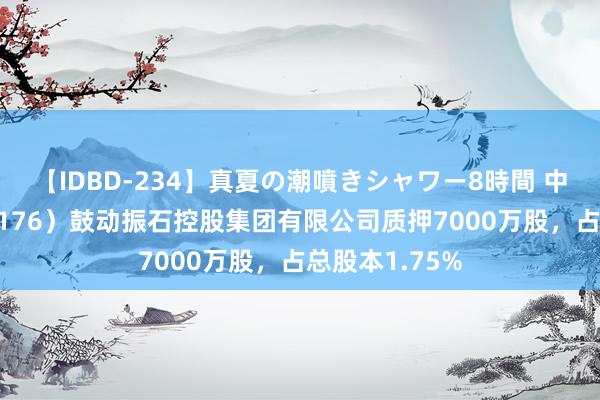 【IDBD-234】真夏の潮噴きシャワー8時間 中国巨石（600176）鼓动振石控股集团有限公司质押7000万股，占总股本1.75%