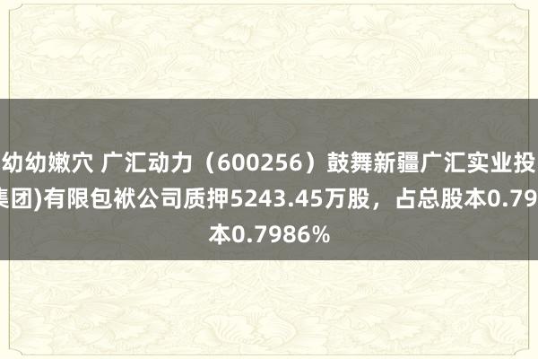 幼幼嫩穴 广汇动力（600256）鼓舞新疆广汇实业投资(集团)有限包袱公司质押5243.45万股，占总股本0.7986%