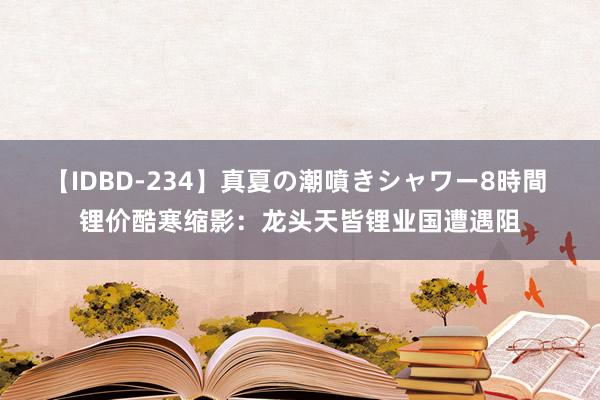 【IDBD-234】真夏の潮噴きシャワー8時間 锂价酷寒缩影：龙头天皆锂业国遭遇阻