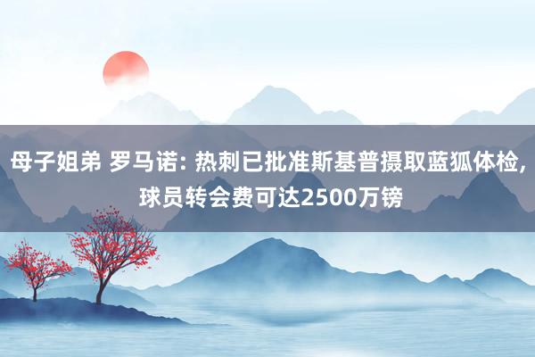 母子姐弟 罗马诺: 热刺已批准斯基普摄取蓝狐体检， 球员转会费可达2500万镑