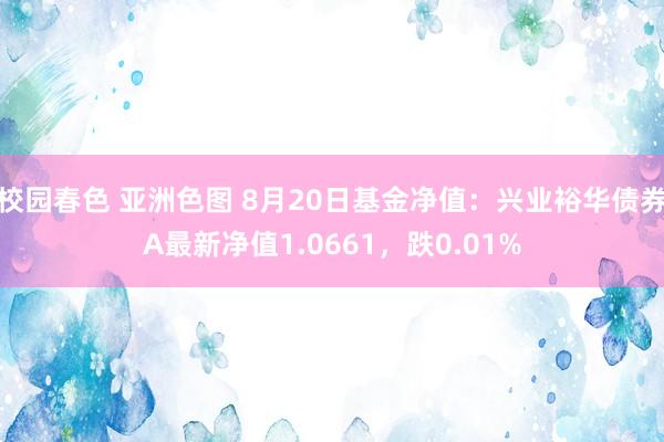 校园春色 亚洲色图 8月20日基金净值：兴业裕华债券A最新净值1.0661，跌0.01%