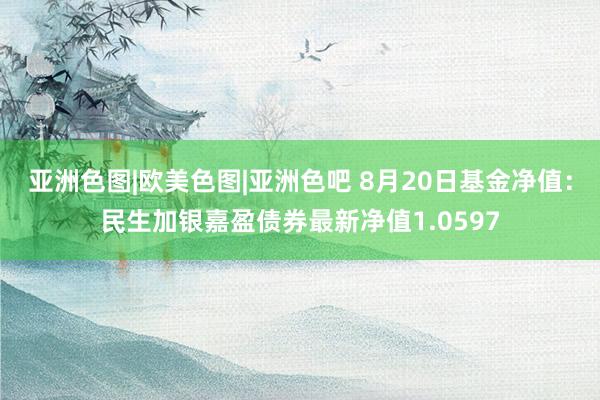 亚洲色图|欧美色图|亚洲色吧 8月20日基金净值：民生加银嘉盈债券最新净值1.0597