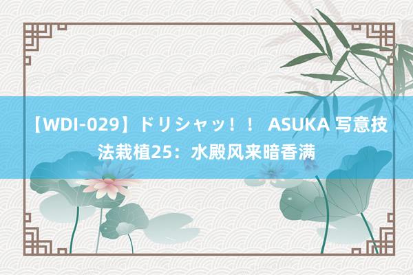 【WDI-029】ドリシャッ！！ ASUKA 写意技法栽植25：水殿风来暗香满