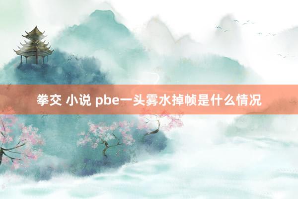 拳交 小说 pbe一头雾水掉帧是什么情况