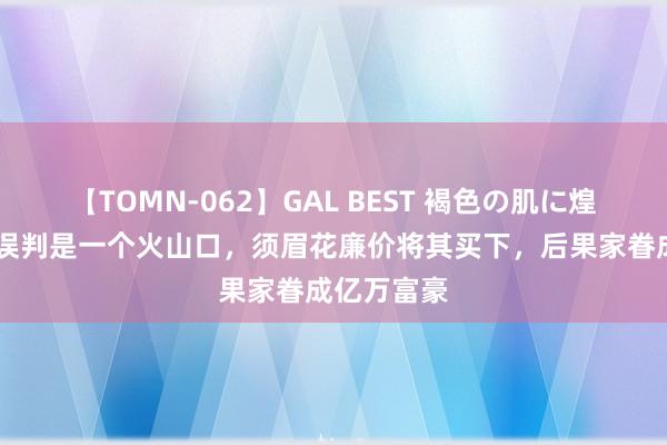 【TOMN-062】GAL BEST 褐色の肌に煌く汗 巨匠误判是一个火山口，须眉花廉价将其买下，后果家眷成亿万富豪