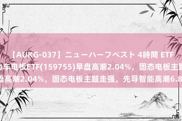 【AUKG-037】ニューハーフベスト 4時間 ETF最前哨 | 广发国证新动力车电板ETF(159755)早盘高潮2.04%，固态电板主题走强，先导智能高潮6.85%