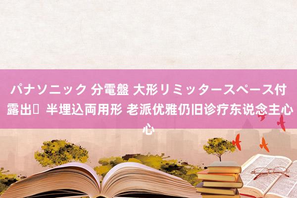 パナソニック 分電盤 大形リミッタースペース付 露出・半埋込両用形 老派优雅仍旧诊疗东说念主心