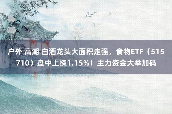 户外 高潮 白酒龙头大面积走强，食物ETF（515710）盘中上探1.15%！主力资金大举加码