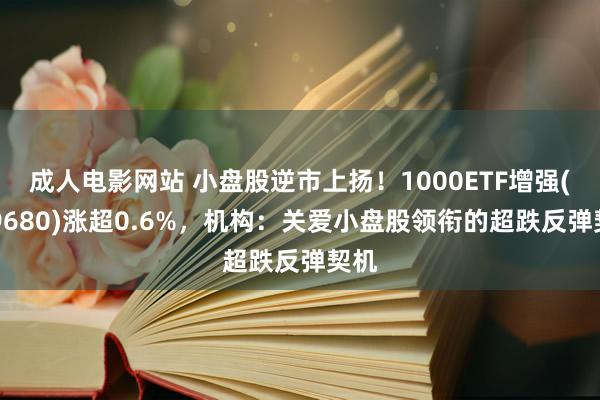 成人电影网站 小盘股逆市上扬！1000ETF增强(159680)涨超0.6%，机构：关爱小盘股领衔的超跌反弹契机