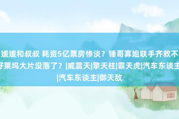 媛媛和叔叔 耗资5亿票房惨淡？锤哥寡姐联手齐救不了，这好莱坞大片没落了？|威震天|擎天柱|霸天虎|汽车东谈主|御天敌