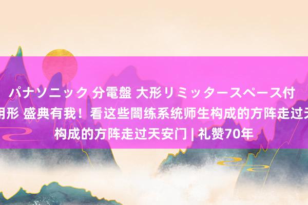 パナソニック 分電盤 大形リミッタースペース付 露出・半埋込両用形 盛典有我！看这些闇练系统师生构成的方阵走过天安门 | 礼赞70年