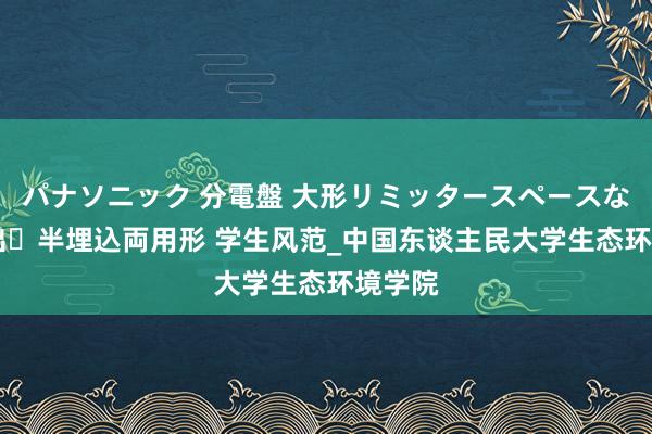 パナソニック 分電盤 大形リミッタースペースなし 露出・半埋込両用形 学生风范_中国东谈主民大学生态环境学院