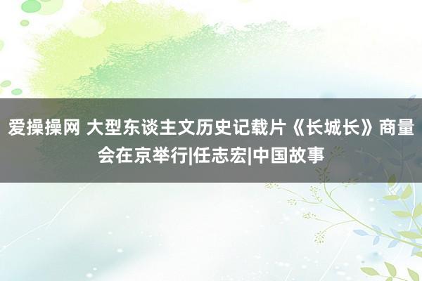 爱操操网 大型东谈主文历史记载片《长城长》商量会在京举行|任志宏|中国故事