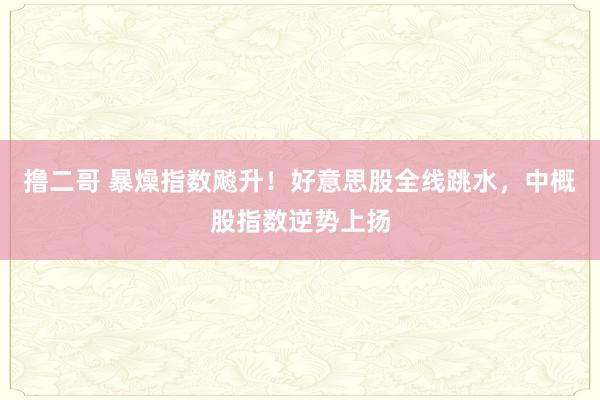 撸二哥 暴燥指数飚升！好意思股全线跳水，中概股指数逆势上扬